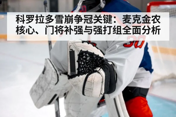 科罗拉多雪崩争冠关键:麦克金农核心、门将补强与强打组全面分析